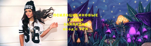 гашик Весьегонск