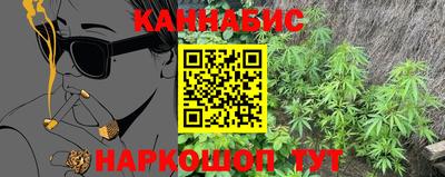гидра Ставрополь