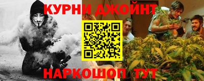гидра Ставрополь