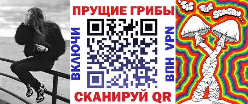 Галлюциногенные грибы Psilocybe  Моршанск 