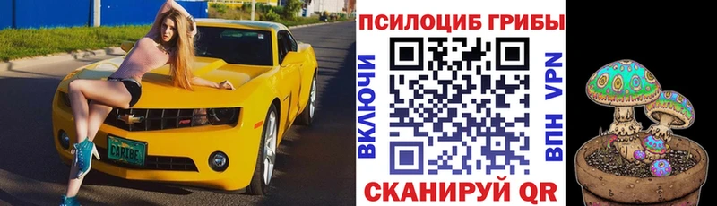 Псилоцибиновые грибы Cubensis Моршанск