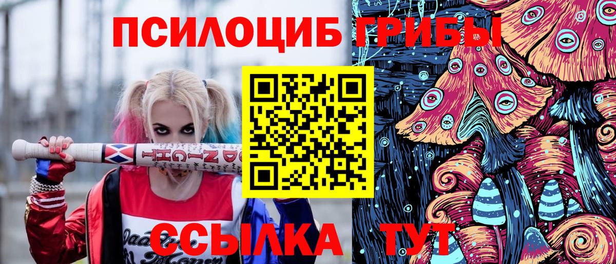 Псилоцибиновые грибы GOLDEN TEACHER  Галлюциногенные грибы мицелий  Вход с VPN  Моршанск 